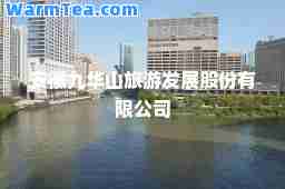 安徽九华山旅游发展股份有限公司
