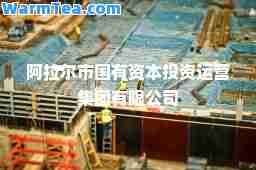 阿拉尔市国有资本投资运营集团有限公司