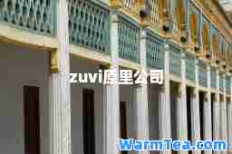 zuvi原里公司