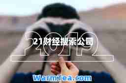 21财经搜索公司