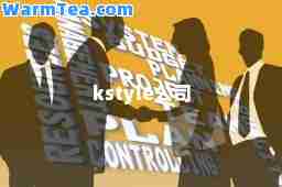 kstyle公司