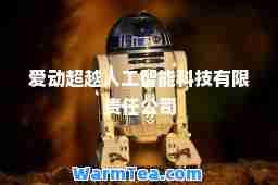 爱动超越人工智能科技有限责任公司