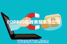 POP800在线客服系统公司