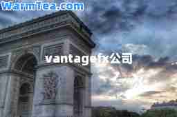 vantagefx公司