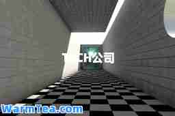 TECH公司