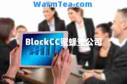 BlockCC蜜蜂查公司