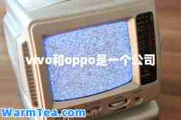 vivo和oppo是一个公司