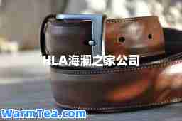 HLA海澜之家公司