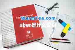 uber是什么公司