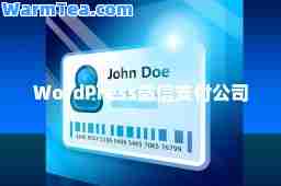 WordPress微信支付公司