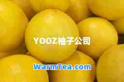 YOOZ柚子公司