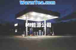 MI能源公司