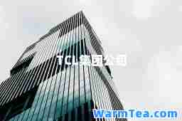 TCL集团公司