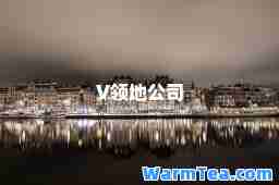 V领地公司