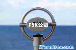 FSK公司