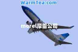 morel摩雷公司