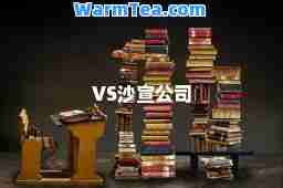 VS沙宣公司