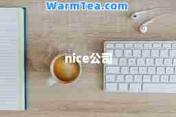 nice公司