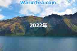 2022年