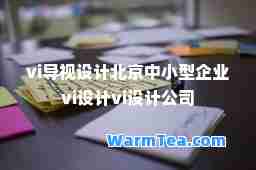 vi导视设计北京中小型企业vi设计vi设计公司
