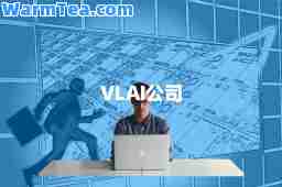 VLAI公司