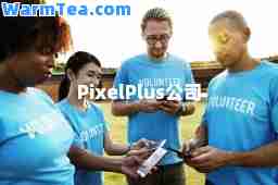 PixelPlus公司