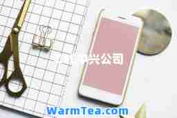 ZTE中兴公司