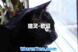 猫灵-歌词