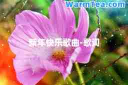 新年快乐歌曲-歌词