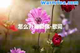 怎么办我爱你-歌词