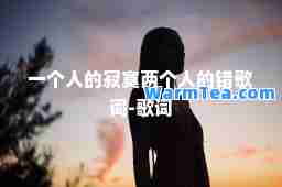 一个人的寂寞两个人的错歌词-歌词