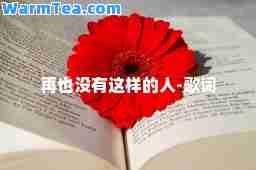 再也没有这样的人-歌词