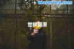 世故圆滑