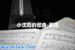 小沈阳的歌曲-歌词