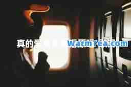 真的爱着你粤语原唱-歌词