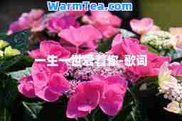 一生一世爱着你-歌词