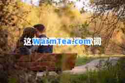 这就是爱情歌词-歌词