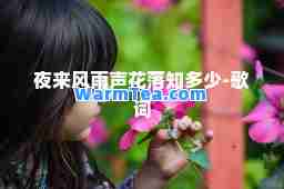 夜来风雨声花落知多少-歌词