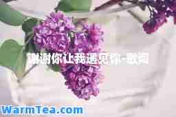 谢谢你让我遇见你-歌词