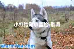 小红脸和小蓝脸-歌词