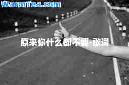 原来你什么都不要-歌词