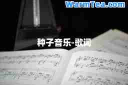 种子音乐-歌词
