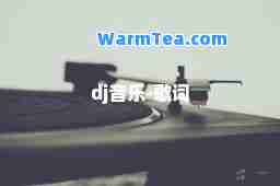 dj音乐-歌词