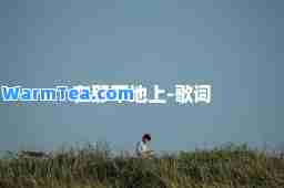 在那草地上-歌词