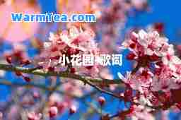 小花园-歌词