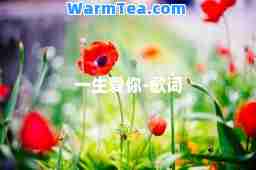 一生爱你-歌词