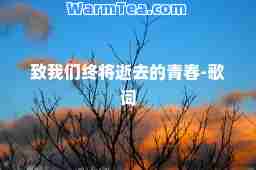 致我们终将逝去的青春-歌词