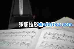 张娜拉歌曲-歌词