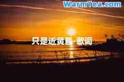 只是近黄昏-歌词