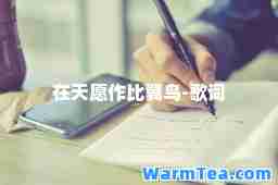 在天愿作比翼鸟-歌词